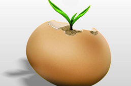 中國煎餅在美國一個賣15美元，下一個走出國門的會是哪個？