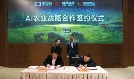 阿里云養(yǎng)豬用AI，是噱頭還是一門靠譜生意？