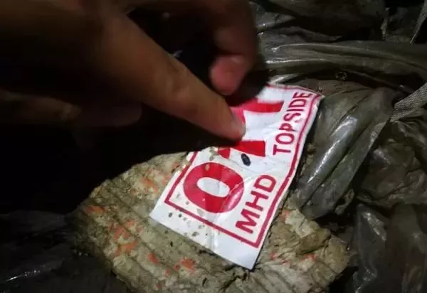 金平私挖走私凍肉事件調(diào)查：挖一斤可賣5元，一過秤就給錢