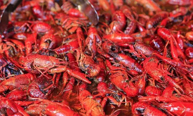 小龍蝦大戰(zhàn)開(kāi)幕，看看京東、天貓、國(guó)聯(lián)、信良記、安井都是如何搶蝦的？