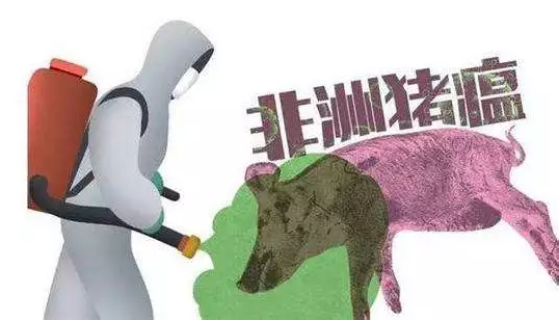 雙匯回應(yīng)火腿檢出非洲豬瘟傳言：加工過程可殺死病毒