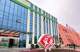 安井只是賣丸子的？不，它已成速凍品類“三劍客