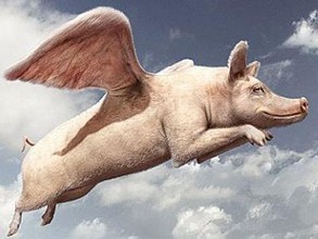 最大養(yǎng)豬戶巨虧4.6億元！風(fēng)口上的“二師兄”為啥沒飛？