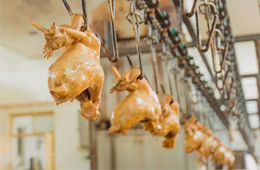 漂泊38年后花800萬“贖回”，道口燒雞老字號(hào)“義興張”商標(biāo)完璧歸趙