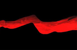 行業(yè)丨速凍食品新國(guó)家標(biāo)準(zhǔn)正式實(shí)施，這些“紅線”要注意了！