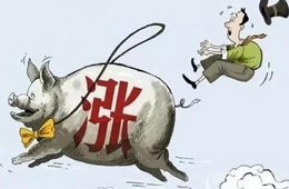 豬肉供應(yīng)量斷崖式下跌，肉價(jià)將開(kāi)啟全面大漲