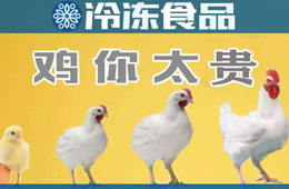 量價齊升，養(yǎng)白羽肉雞咋還虧了？