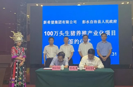 新希望六和落子渝豫甘，生豬規(guī)模再增200萬頭！