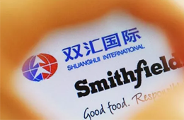 增收不增利，雙匯發(fā)展如何應對“二師兄”漲價