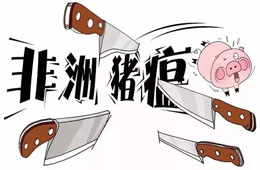 官宣 | 農(nóng)業(yè)農(nóng)村部：28省非瘟疫區(qū)解除封鎖，“豬荒”年底前有望緩解