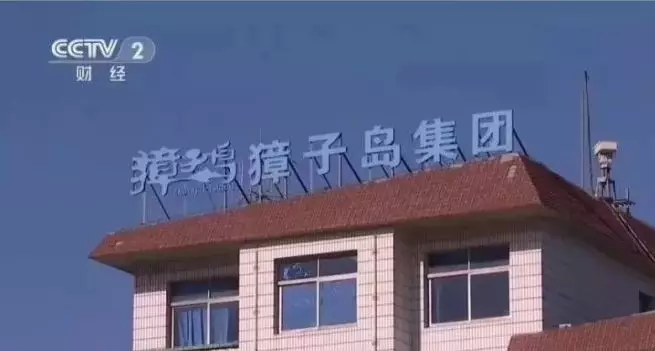 獐子島3億元扇貝“集體暴斃”？