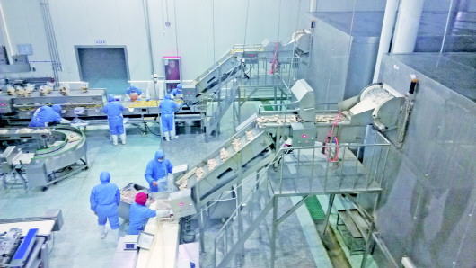  蚊蟲、毛發(fā)、焊渣……食品車間異物如何“一掃光”