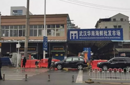 武漢華南海鮮市場(chǎng)元旦起休市，恢復(fù)營業(yè)時(shí)間未定