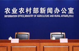 非瘟爆發(fā)至今，全國共撲殺生豬120萬頭；2萬噸儲(chǔ)備肉今日出庫競價(jià)