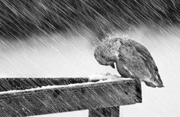 熱點 | 海欣營銷總監(jiān)給經(jīng)銷商的自救指南：立即行動，應對變化！