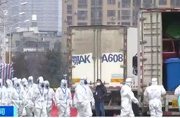 武漢華南海鮮市場(chǎng)完成大規(guī)模消殺；牛蛙、烏龜不列入禁食范圍