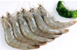 人力缺失、資金鏈斷裂！厄瓜多爾白蝦產(chǎn)能降至三分之一！多家企業(yè)面臨破產(chǎn)風險！