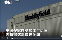 史密斯菲爾德、泰森等國外肉類巨頭停工，或引發(fā)全球“肉慌”？