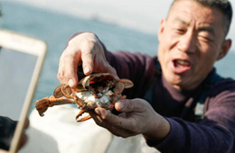 一季度電商直播超400萬場！直播帶貨到底有多火？為何海鮮永遠(yuǎn)是爆品？