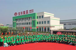 華南基地簽約，河南工廠揭牌，安井 “銷地產(chǎn)”布局又有新動(dòng)作