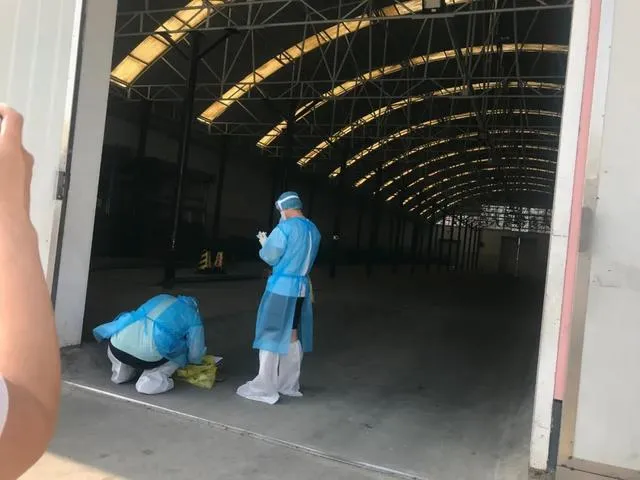 1592211255106040.png xfs (1).png