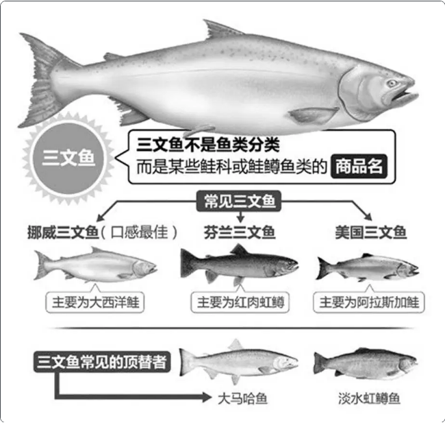 1592358217346898.png %A8_S_W0@IK7N7UQ7DQT`{4.png