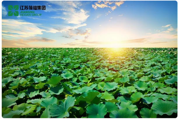 1595988541900651.png $N2M}M54P{WAR022_6E76AU.png