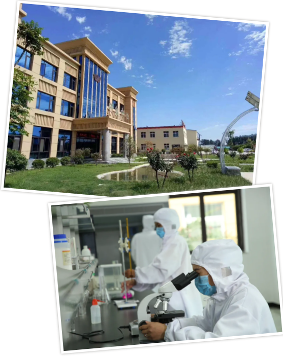 1595989780291103.png QC579NNFQCK[{R9~KY)7QSV.png