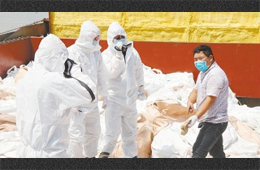 水產、禽肉、豬肉、牛肉…多種進口凍品連續(xù)檢出新冠陽性，冷鏈追溯構筑防控“安全鏈”