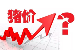 豬價(jià)又“變臉”，新一波漲勢來了？農(nóng)業(yè)農(nóng)村部：或持續(xù)到元旦春節(jié)