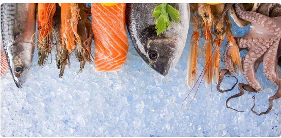 1606441088286617.png 97{FFSA(Q_9M5V)E}WDA{XT.png