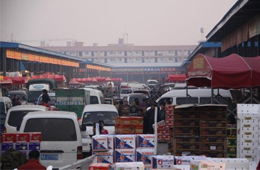 追蹤 | 冷庫(kù)停業(yè)，旺季將至，急壞凍品人！怎么辦？