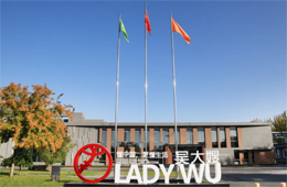 引領(lǐng)食尚，吳大嫂打造海鮮水餃領(lǐng)先品牌