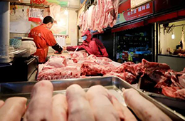 豬、牛、羊等肉類價格集體上漲，年關(guān)怎么過？
