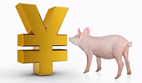 誰是國內(nèi)養(yǎng)豬第一大?。?/>
                </div>
                <div   id=