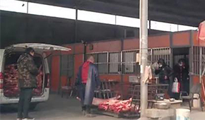 又見瘦肉精，河北青縣問題羊肉流向河南等地！當?shù)卣o急回應