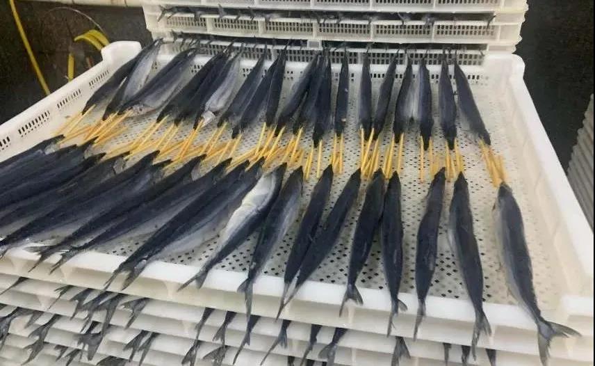 1616996809729281.jpg 1616996809729281.jpg