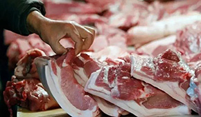 發(fā)改委發(fā)布生豬價格過度下跌三級預(yù)警 ，豬價真的要“奔5”？