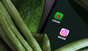 叮咚買菜、每日優(yōu)鮮接連上市，是否持續(xù)利好預(yù)制菜成為“家常菜”？