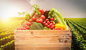 麥金地：從餐配轉(zhuǎn)型食品加工，“三級廚房”打造全國供應(yīng)鏈集群