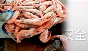 生產(chǎn)日期隨意改、過(guò)期蝦換包裝秒變合格品……味庫(kù)海鮮攤上事了，曾獲6輪融資