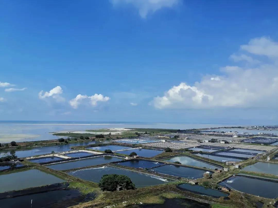 1636597374929873.jpg 1636597374929873.jpg