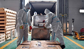 全國(guó)28個(gè)省份已建成869個(gè)集中監(jiān)管倉(cāng)，進(jìn)口冷鏈“國(guó)家平臺(tái)”將升級(jí)2.0版