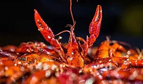 安井再次出手布局，小龍蝦已妥妥成為預(yù)制菜行業(yè)大單品