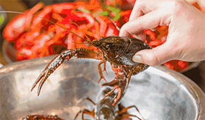 疫情之下，餐飲圈為啥都賣(mài)起了小龍蝦？