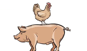 國慶長假后豬、雞價格雙升，發(fā)改委稱近期將投放第五批中央豬肉儲備