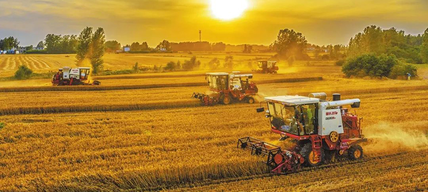 全國7/10的餃子、3/5的湯圓、1/2的火腿腸…河南這樣承包國人餐桌