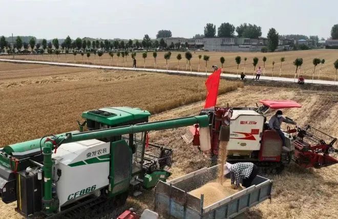 1685586515327607.jpg 1685586515327607.jpg