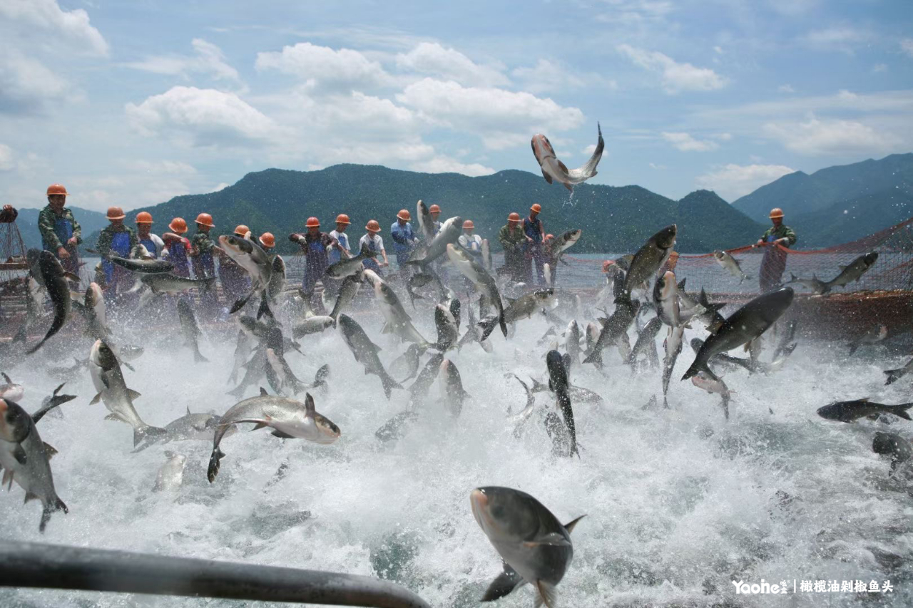 1698887088967336.jpg 1698887088967336.jpg