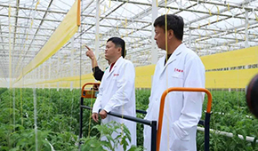 馬家廚房？馬家秘制老鴨煲？馬云的“假動作”為何讓市場興奮？